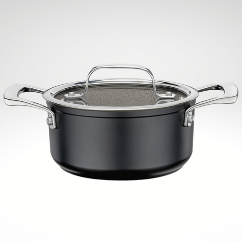 Spring Meridian Intense Pro Stockpot with Lid, 6 qt. 9.5