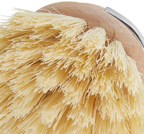 Large Dish Brush Replacement Head – Relish Decor
